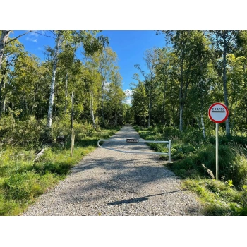 16130-tiibvarav.jpg.webp