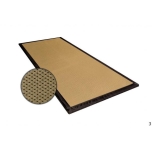 Standard disinfection mat for vehicles