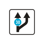 LM 536av- Sõidurajad ja -suunad