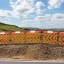 17054-c8-barriers-in-use-uneven-surface-1.jpg.webp