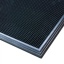 Sani-Trax disinfection mat 